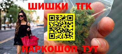 гашик Моздок