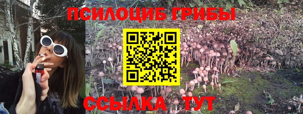 Галлюциногенные грибы MAGIC MUSHROOMS  Вход с VPN  Славгород 