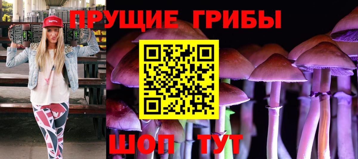 Псилоцибиновые грибы прущие грибы Славгород